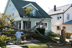 damaged house from tree collapse due to storm